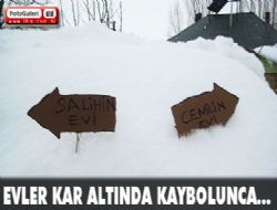 Karışmasın diye levha diktiler! 